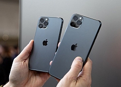 iPhone 11 loạn nhưng không bị hét giá trong ngày đầu về Việt Nam