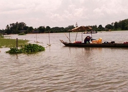 Lũ đầu nguồn ở Tân Châu và Châu Đốc vượt báo động 1