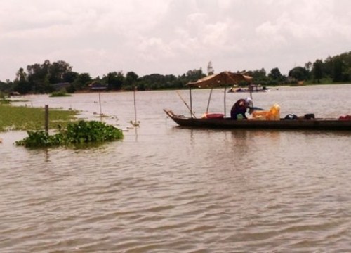 Lũ đầu nguồn ở Tân Châu và Châu Đốc vượt báo động 1