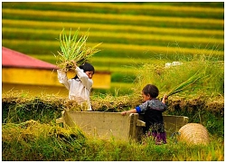 Mù Cang Chải - một trong 19 điểm đáng ghé thăm nhất thế giới