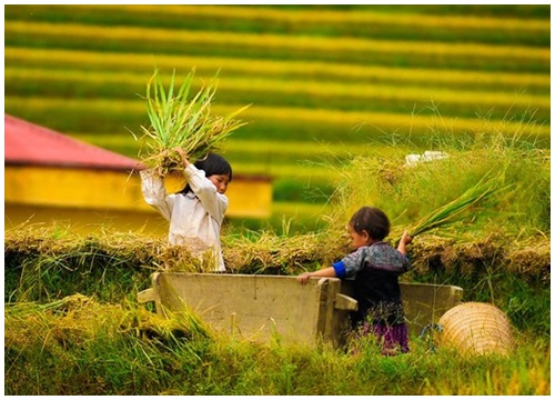 Mù Cang Chải - một trong 19 điểm đáng ghé thăm nhất thế giới