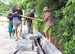 Những "bông hoa" đẹp ở Tam Dương