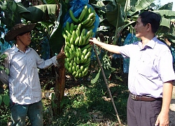 Nông dân "hiến kế" Hội làm nông thôn văn minh, hiện đại