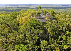 Phát hiện bí mật lớn của người Maya trong rừng rậm Guatemala