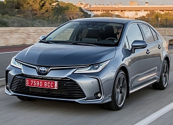 Rộ tin Toyota Corolla Altis 2019 chuẩn bị về Việt Nam, không có bản hybrid