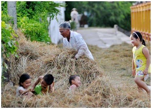 Tản mạn ngày mùa