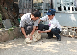 Thêm 1 trường hợp tử vong do bệnh dại tại Đắk Lắk