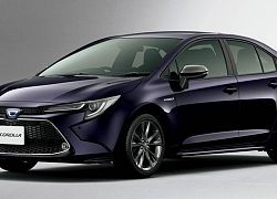 Toyota Corolla 2019 chính thức bán ra tại Nhật, sắp về Việt Nam