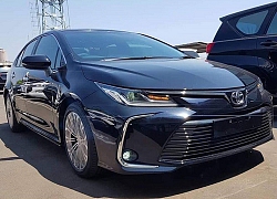 Toyota Corolla Altis thế hệ mới chưa có kế hoạch về Việt Nam