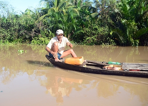 Về Ba Lai xứ Dừa câu loài cá ngát có ngạnh sắc nhọn và rất độc