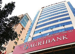 Agribank dự kiến phát hành 5.000 tỷ đồng trái phiếu