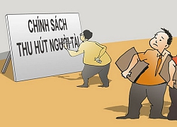 Chẳng lẽ đất nước chỉ mãi là "cái nôi", là nơi "ươm mầm"