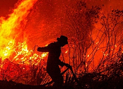 Cháy rừng Indonesia đang phủ đen bầu trời các nước Đông Nam Á