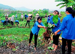 Cho vay ưu đãi các hoạt động bảo vệ môi trường