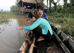 Giăng lưới cá gần chòi dính toàn cá tra non cũng đủ bữa cơm tối trời