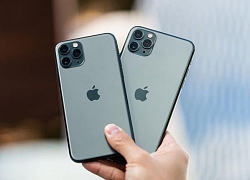 iPhone 11 rớt giá gần 6 triệu sau một ngày về VN