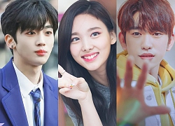 Jinyoung (Got7), Kim Yo Han (X1) và Nayeon (Twice) đứng top trend trên Twitter vào ngày sinh nhật (22/09)