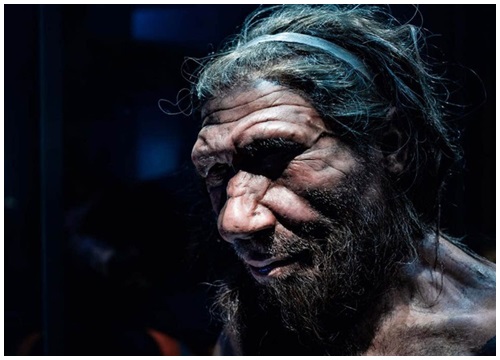 Căn bệnh phổ biến ở trẻ em có thể là nguyên nhân khiến người Neanderthal tuyệt chủng