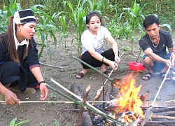 Lội ruộng bậc thang bắt cá chép nướng ăn tại chỗ ở Hoàng Su Phì