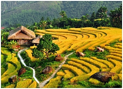 "Qua những miền di sản ruộng bậc thang" Hoàng Su Phì