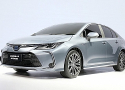 Toyota chưa vội bán Corolla Altis 2020 ở Việt Nam