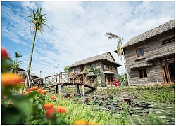 Trải nghiệm thú vị với nghỉ dưỡng mô hình Ecolodge đầu tiên xứ Tây Đô