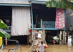 Đầu nguồn mùa nước nổi: Lũ lên cao, cá linh, cua đồng có nhiều hơn