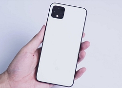 Google Pixel 4 và Nest Mini rò rỉ giá bán lẻ