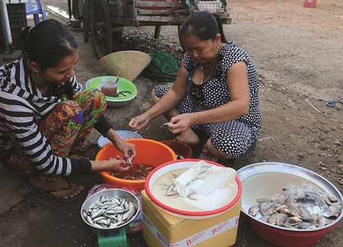 Chợ đầu nguồn đón lũ