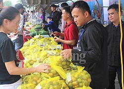 Hồng không hạt Bắc Kạn: Độc đáo đặc sản vùng sơn cước