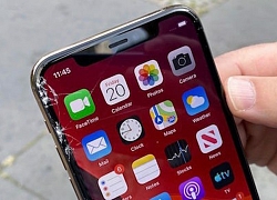 iPhone 11 sẽ cảnh báo người dùng khi máy bị thay màn hình "lô"