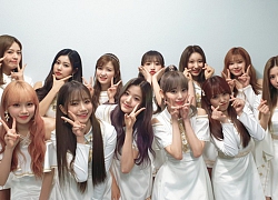 IZ*ONE ra mắt chưa tròn 1 năm nhưng đã vượt BLACKPINK để sánh ngang TWICE và Red Velvet ở mảng album