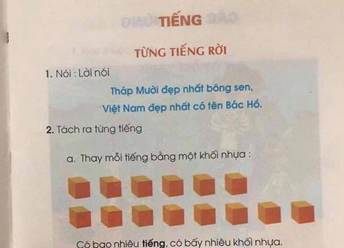 "Không nên đánh giá sách của GS Hồ Ngọc Đại theo thông tư"