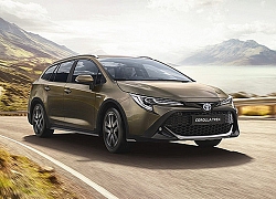 Toyota Corolla có thêm phiên bản Trek kết hợp với hãng xe đạp