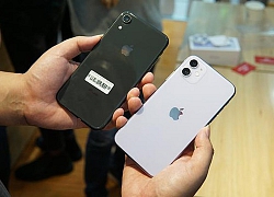 Nên nâng cấp lên iPhone 11 hay chọn iPhone Xr?