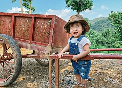 Ngọc Mon tung ảnh nông trại xanh mướt cùng team bỉm sữa thân thiết, ai cũng ước ao có hội gia đình chơi chung vui vẻ thế này