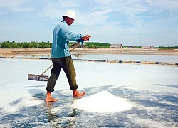 Nuôi tôm, làm muối kiểu mới, nhà nông "lên đời"