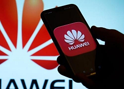 Quy mô của Huawei lớn đến mức nào mà khiến Mỹ phải sợ hãi?