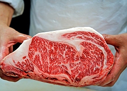 Vì sao thịt bò Wagyu có giá gần chục triệu đồng mỗi kg?