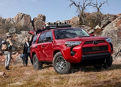 Toyota 4Runner 2020 có thêm bản off-road chuyên dụng