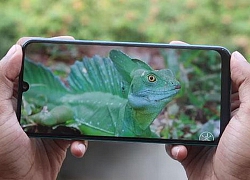 Cận cảnh Samsung Galaxy M30s: 3 camera sau, pin 6.000 mAh, RAM 6 GB, giá 'mềm'