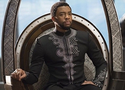 CEO Marvel chia sẻ gây shock: Tôi không muốn làm Black Panther và Captain Marvel!