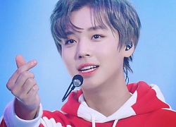 Cựu thành viên Wanna One - Jihoon công bố màu sắc chính thức cho fandom