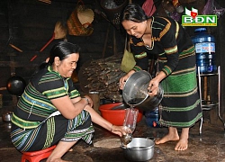 Đắk Nông: Chặt cây chuối rừng đốt thành than làm món ăn quên sầu