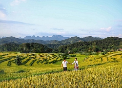 Đi làm được gọi là cây "muối mặn", nhưng bằng cách gì mà người phụ nữ này đã khiến cuộc sống của Shark Hưng "ngọt hơn cả mật"