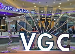 Gelex muốn bán 40 triệu cổ phiếu Viglacera cho công ty con