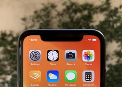 iPhone 11 về Việt Nam với 6 màu - Nên chọn màu nào đây?