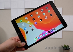 'Mổ xẻ' iPad 7 10.2 inch: Bộ nhớ RAM 3GB, pin 8.227 mAh