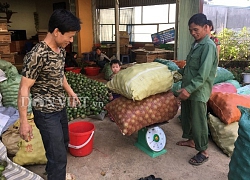 Mộc Châu phấn đấu thêm 2 xã cán đích nông thôn vào năm 2020