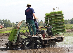 TP.HCM làm đầu tàu phát triển cơ khí nông nghiệp cho ĐBSCL